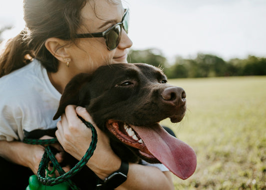 Finding the Perfect Pet Sitter: A Guide for Dog Owners