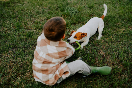 Get Your Kid A Dog