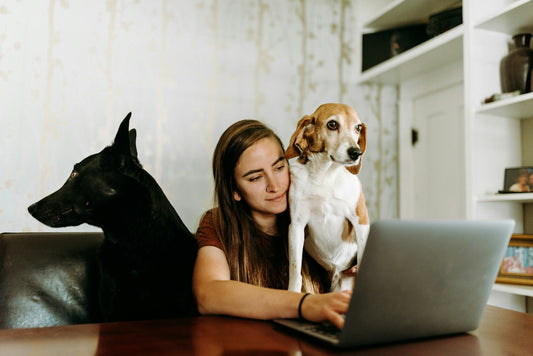 Are You Ready to Be a Two Dog Family?