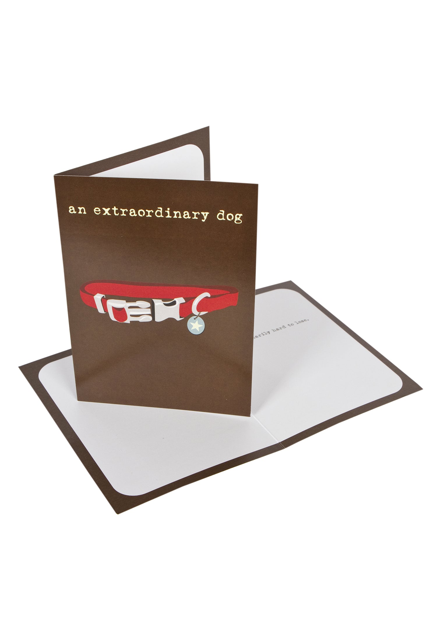 Greeting Card: Dog Sympathy, An Extraordinary Dog