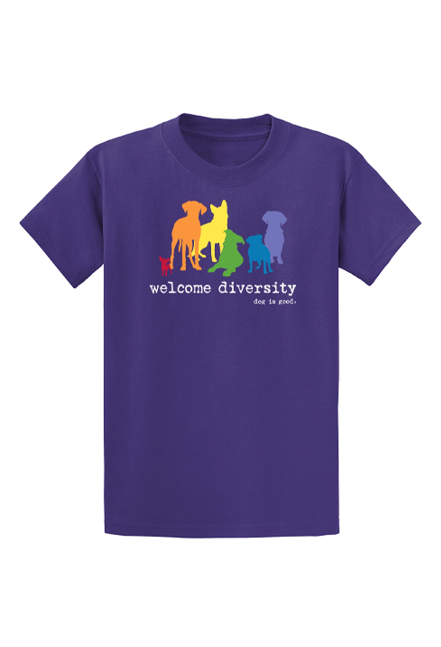 T-shirt: Welcome Diversity Pride