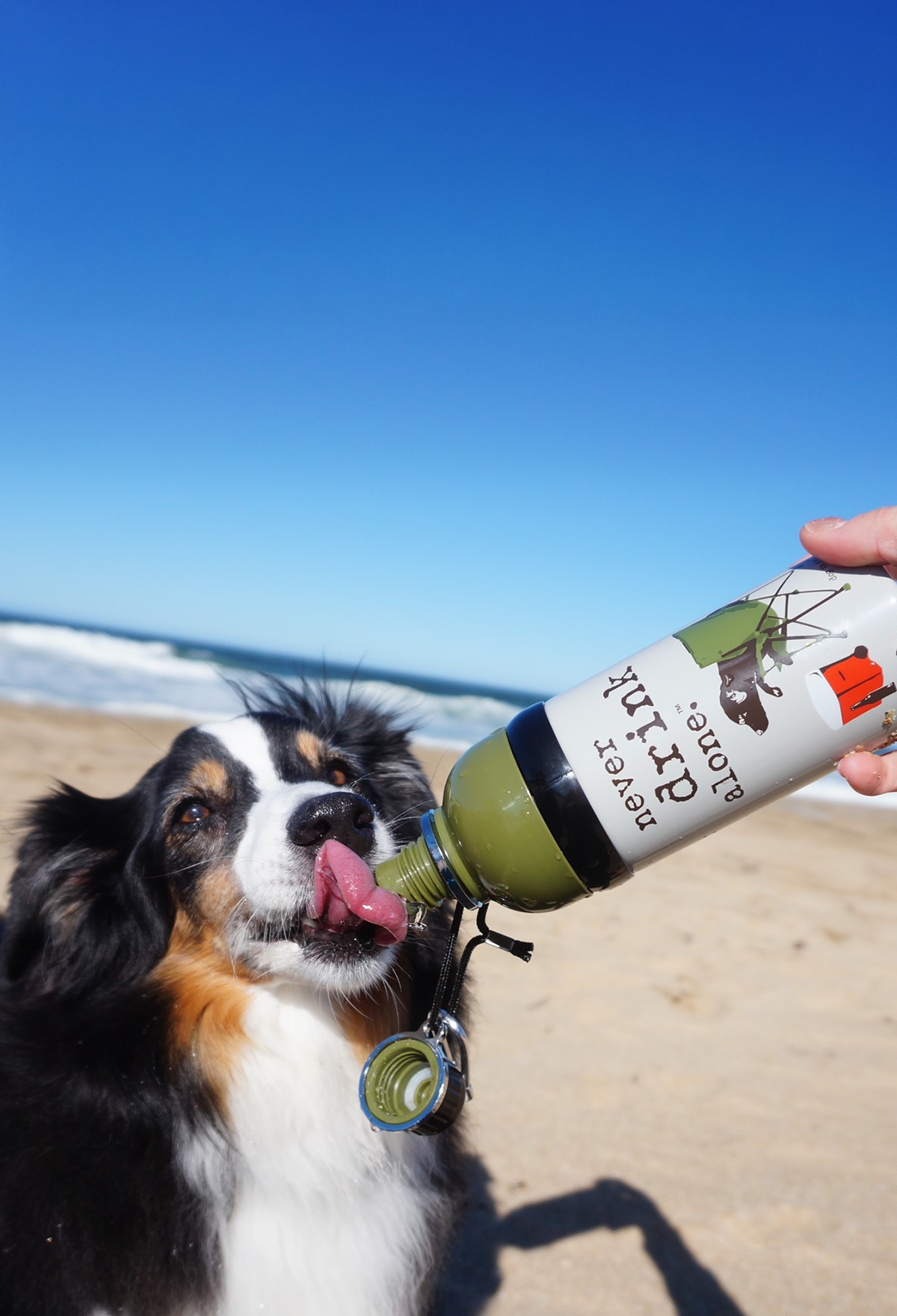 Dog Water Bottle: Never Drink Alone