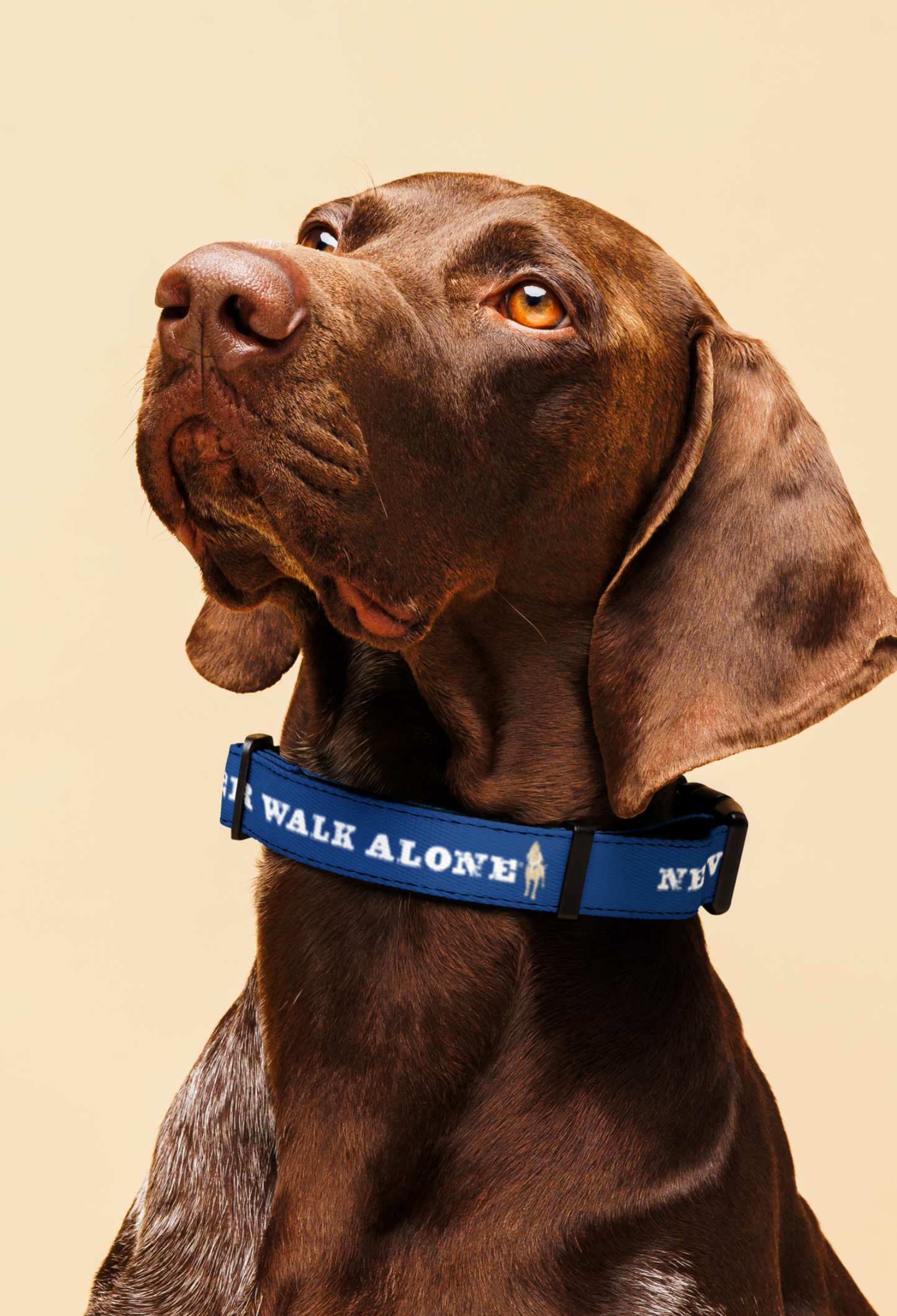 Never Walk Alone®  Premium Dog Collar